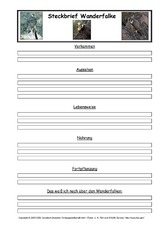 Wanderfalke-Steckbriefvorlage.pdf